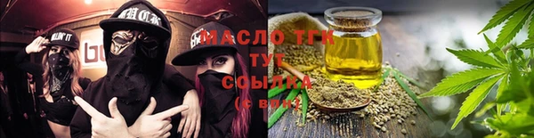 стаф Инта