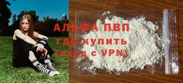 стаф Инта