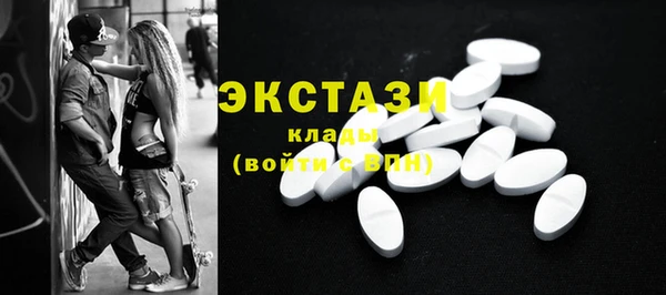 стаф Инта