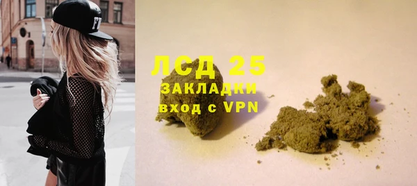 стаф Инта