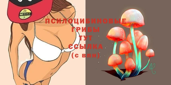 дживик Иннополис
