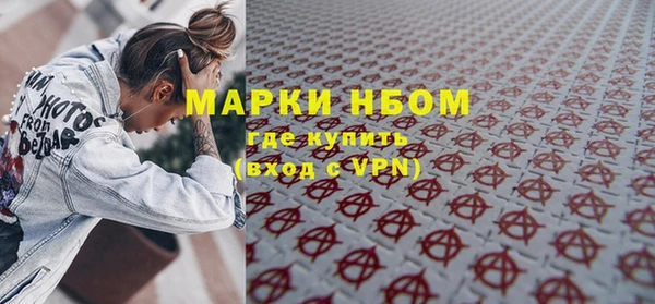 стаф Инта