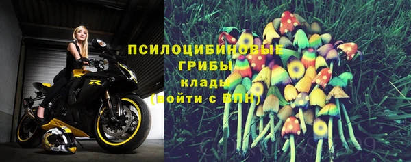 стаф Инта