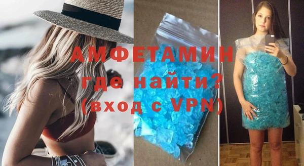 стаф Инта