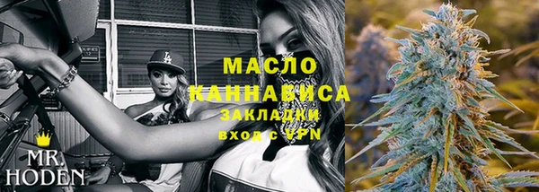 стаф Инта