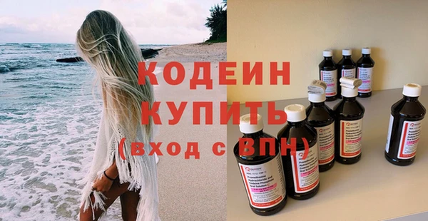 стаф Инта