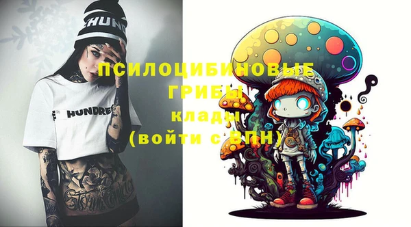дживик Иннополис