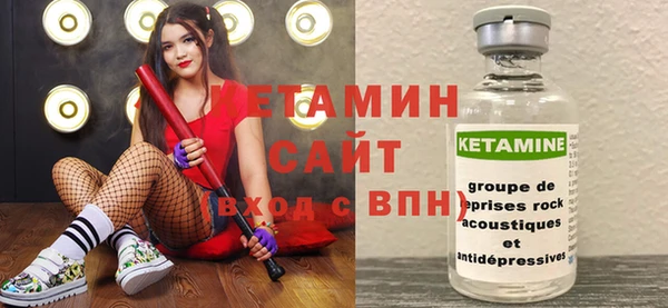 стаф Инта